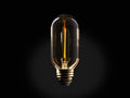 LED T14 Filament Bulb – E26