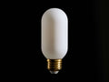 T14 Bright Light Bulb – E26
