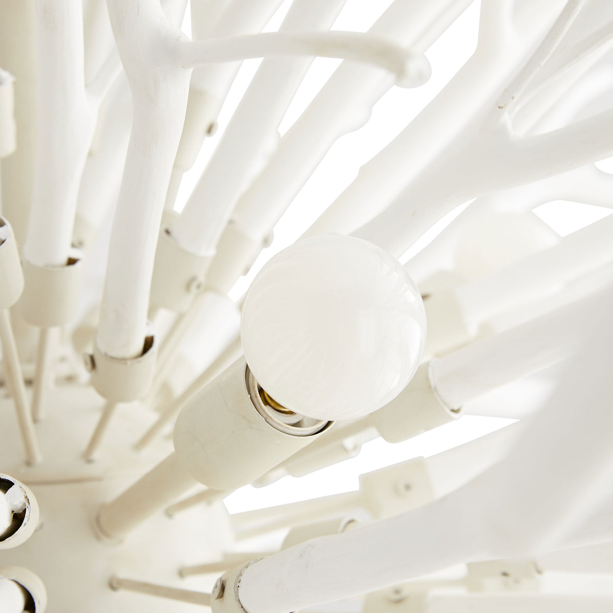 Signature Finch Chandelier