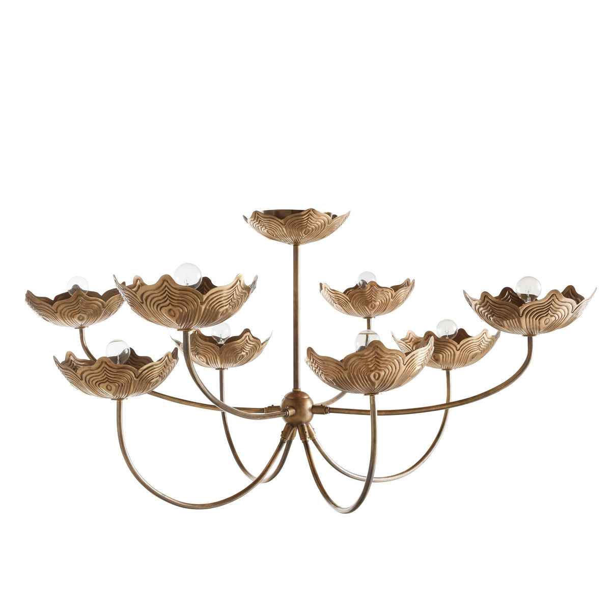 Signature Encinitas Chandelier, alternate view