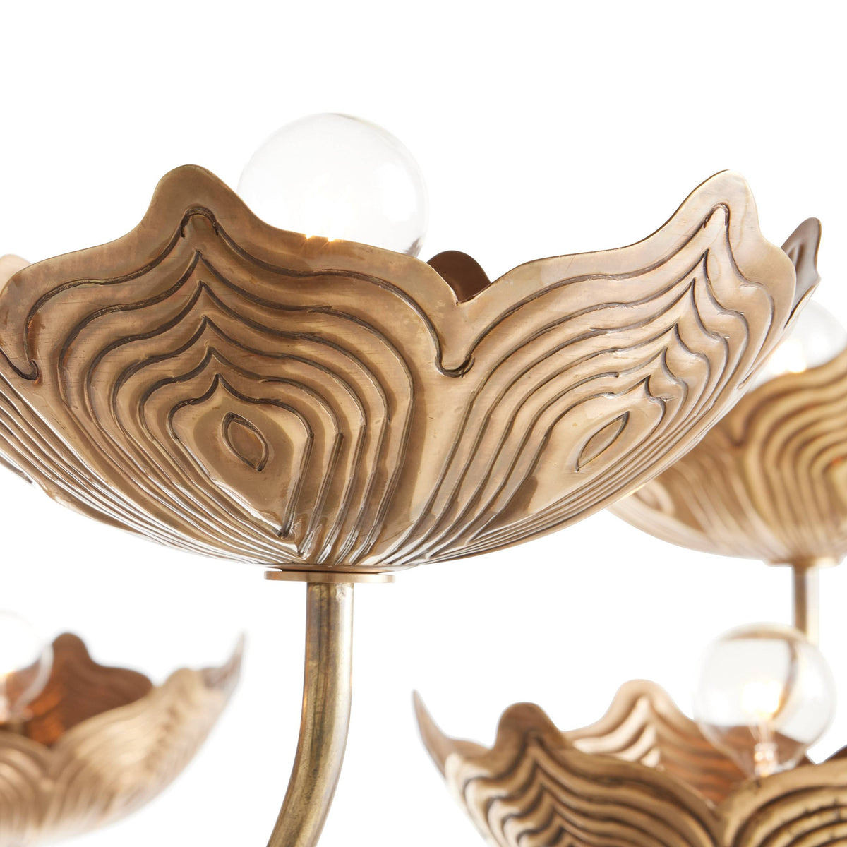 Signature Encinitas Chandelier