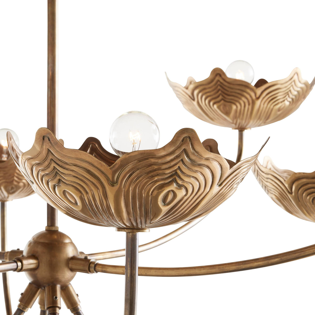 Signature Encinitas Chandelier