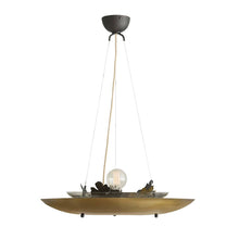 Sculptural Chene Chandelier
