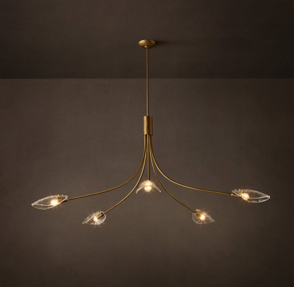 Heritage Shell Clear Glass Round Chandelier