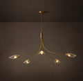 Heritage Shell Clear Glass Round Chandelier