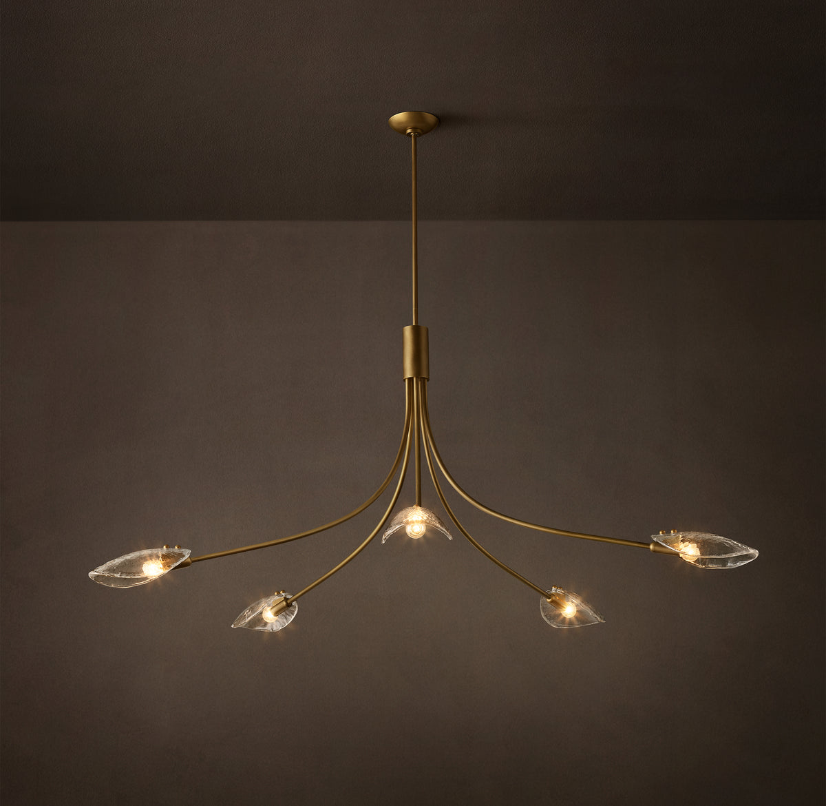 Heritage Shell Clear Glass Round Chandelier