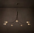 Heritage Shell Clear Glass Round Chandelier