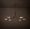 Heritage Shell Clear Glass Linear Chandelier